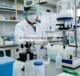 Analisis Kebasahan dan Mekanika Film Polimida dengan Perlakuan Plasma Tekanan Atmosfer