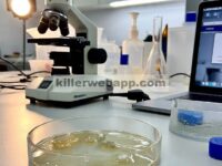 Pengaruh Nanokristal Selulosa (CNC) terhadap Karakteristik Mekanik dan Kerusakan Perekat Epoxy