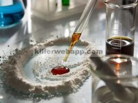 Film Chitosan Dengan Polifenol Sebagai Agen Peningkat