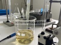 Elastomer Kopoliester Berbasis Bio Baru—Poli(Butilena 2,5-Furandikarboksilat) yang Mengubah Asam Itakonat