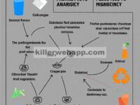 Mengatasi Aliran Limbah Kemasan Plastik Fleksibel yang Menguntungkan dan Menantang: Analisis Aliran Material
