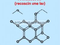 Adsorpsi CO2 yang Ditingkatkan oleh Kristalinitas dengan Kerangka Sodium Poli(Heptazine Imide)